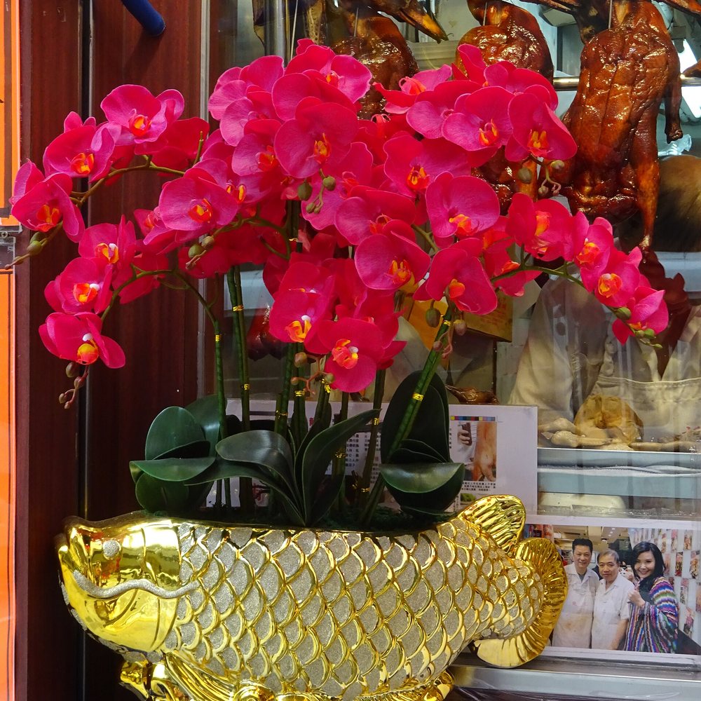 Home & décor at Panda Mart Scarborough